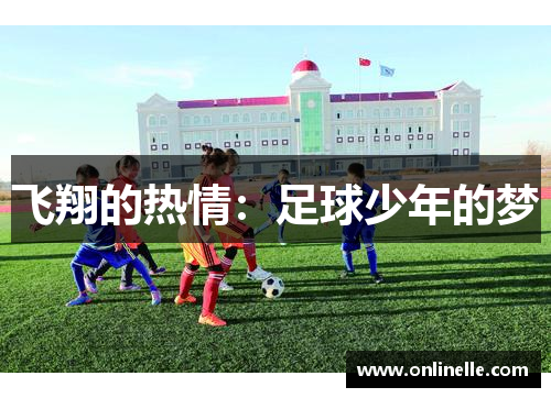 飞翔的热情：足球少年的梦
