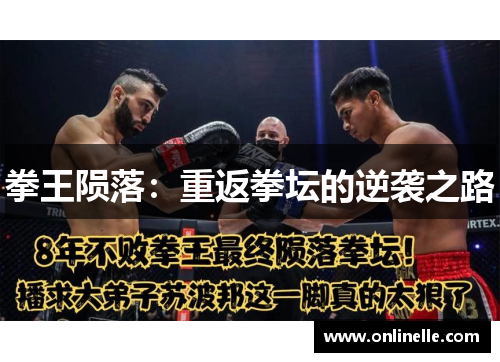 拳王陨落：重返拳坛的逆袭之路